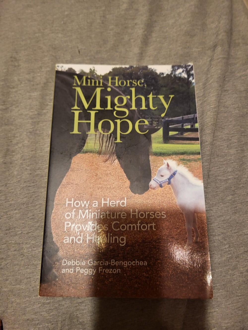 Mini Horse Mighty Hope Book - Beige Cover